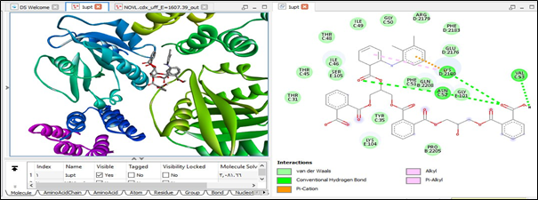 The Effect of Pharmaceutical Analgesics on Renal Failure Using Novel Nano-Composite Drugs